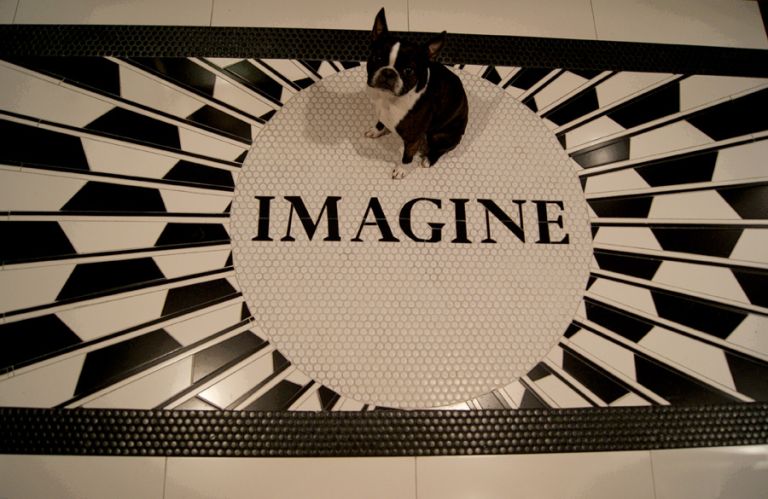 Black-and-white penny-tile and ceramic kitchen floor mosaic featuring a central circular medallion with the word "IMAGINE" in serif type, radiating starburst rays of black tile, with a Boston Terrier sitting on it