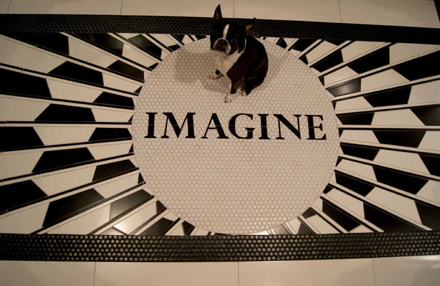 Strawberry Fields Adaptation